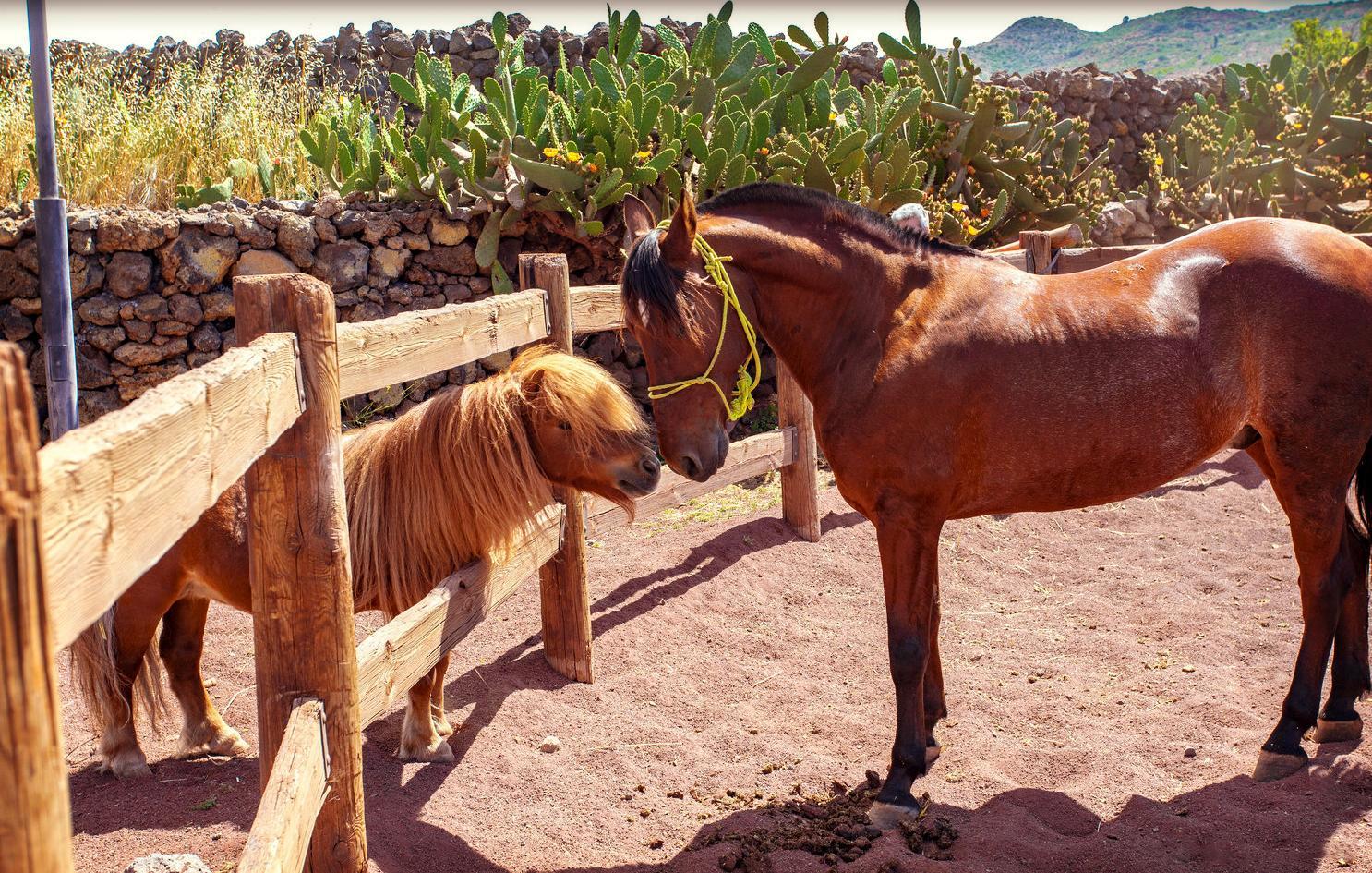 מלון Santiago del Teide La Casona Del Patio מראה חיצוני תמונה